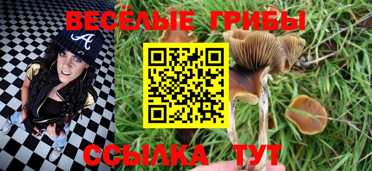 Псилоцибиновые грибы GOLDEN TEACHER  Галлюциногенные грибы мицелий  Ижевск  Вход с VPN 